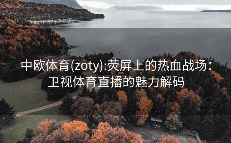 中欧体育(zoty):荧屏上的热血战场：卫视体育直播的魅力解码