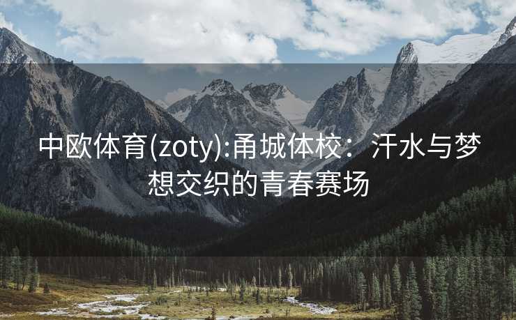 中欧体育(zoty):甬城体校：汗水与梦想交织的青春赛场