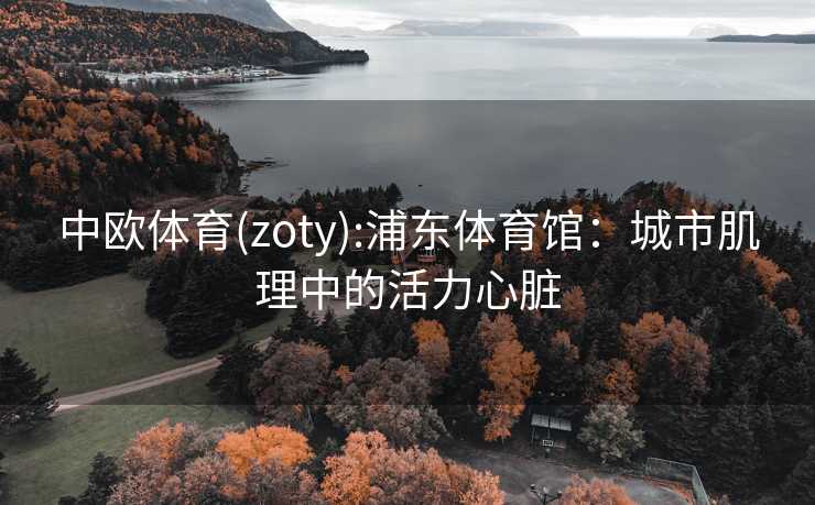 中欧体育(zoty):浦东体育馆：城市肌理中的活力心脏