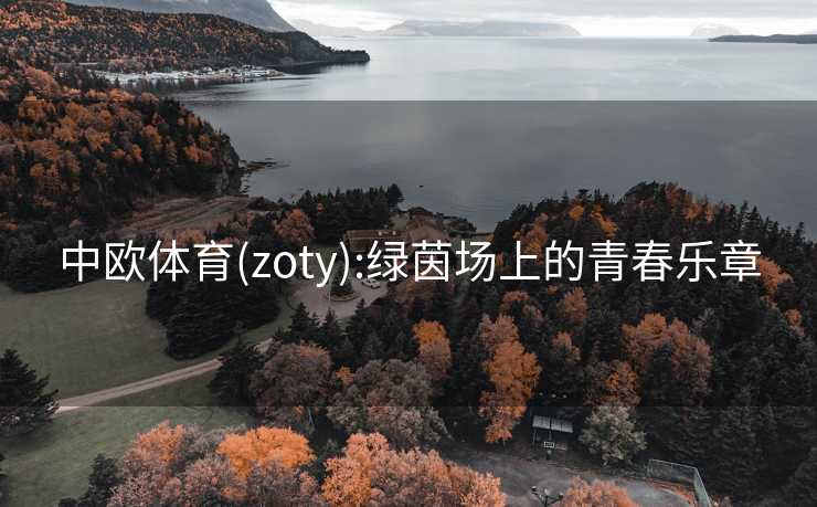 中欧体育(zoty):绿茵场上的青春乐章